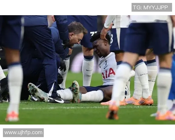 德甲争冠还是热刺重逢？球员们面临的抉择